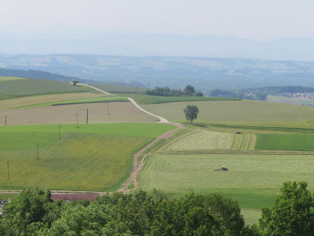 Gasthof Schiefer Zur Zugbruecke Kreuzen  Номер фото